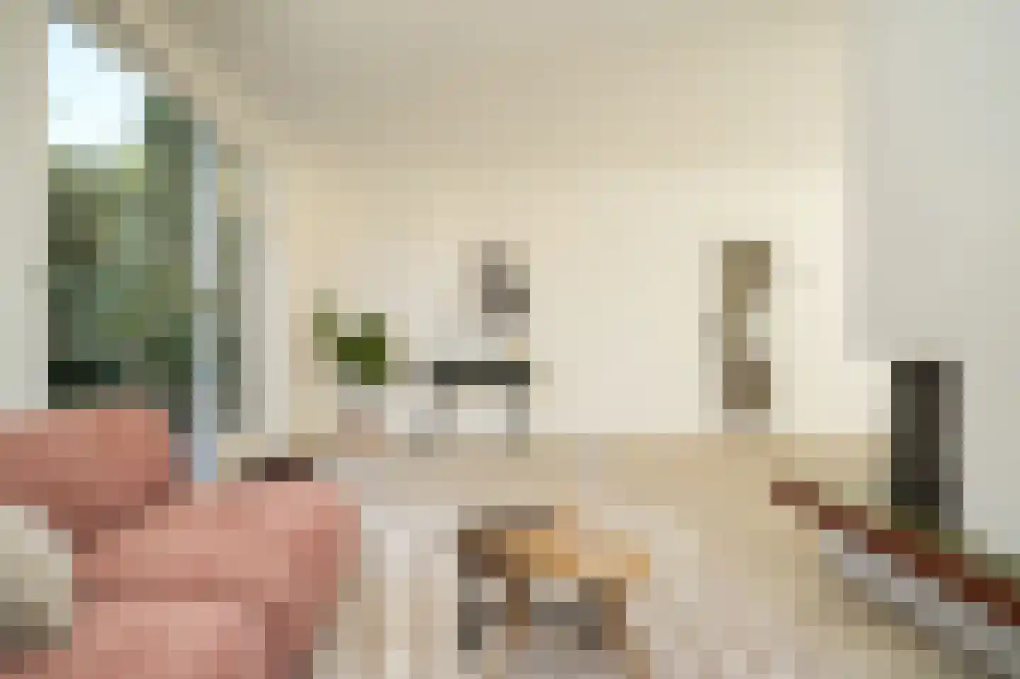 de Postmeester 20 Amerongen thumbnail 12