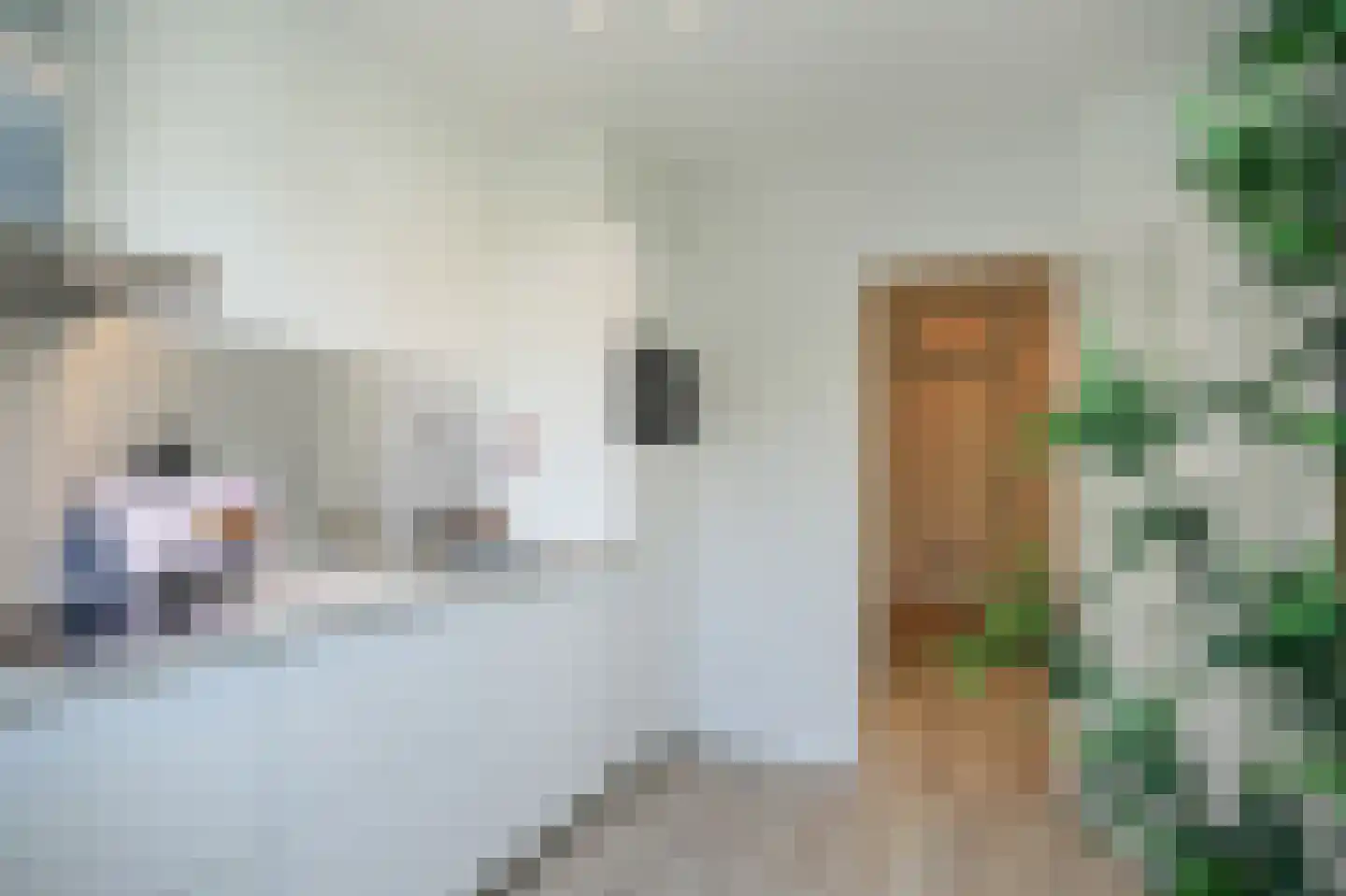 de Postmeester 20 Amerongen thumbnail 17