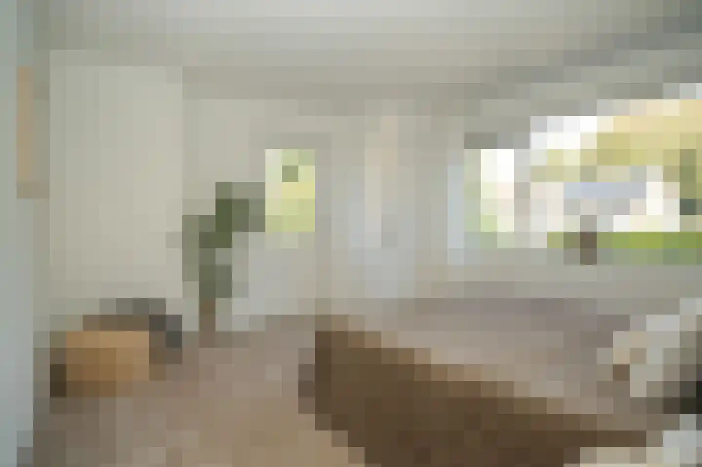 de Postmeester 20 Amerongen thumbnail 23