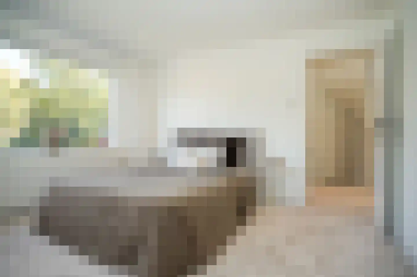 de Postmeester 20 Amerongen thumbnail 24
