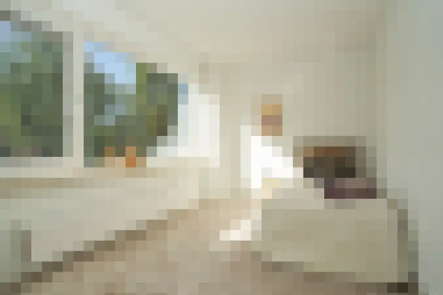 de Postmeester 20 Amerongen thumbnail 26