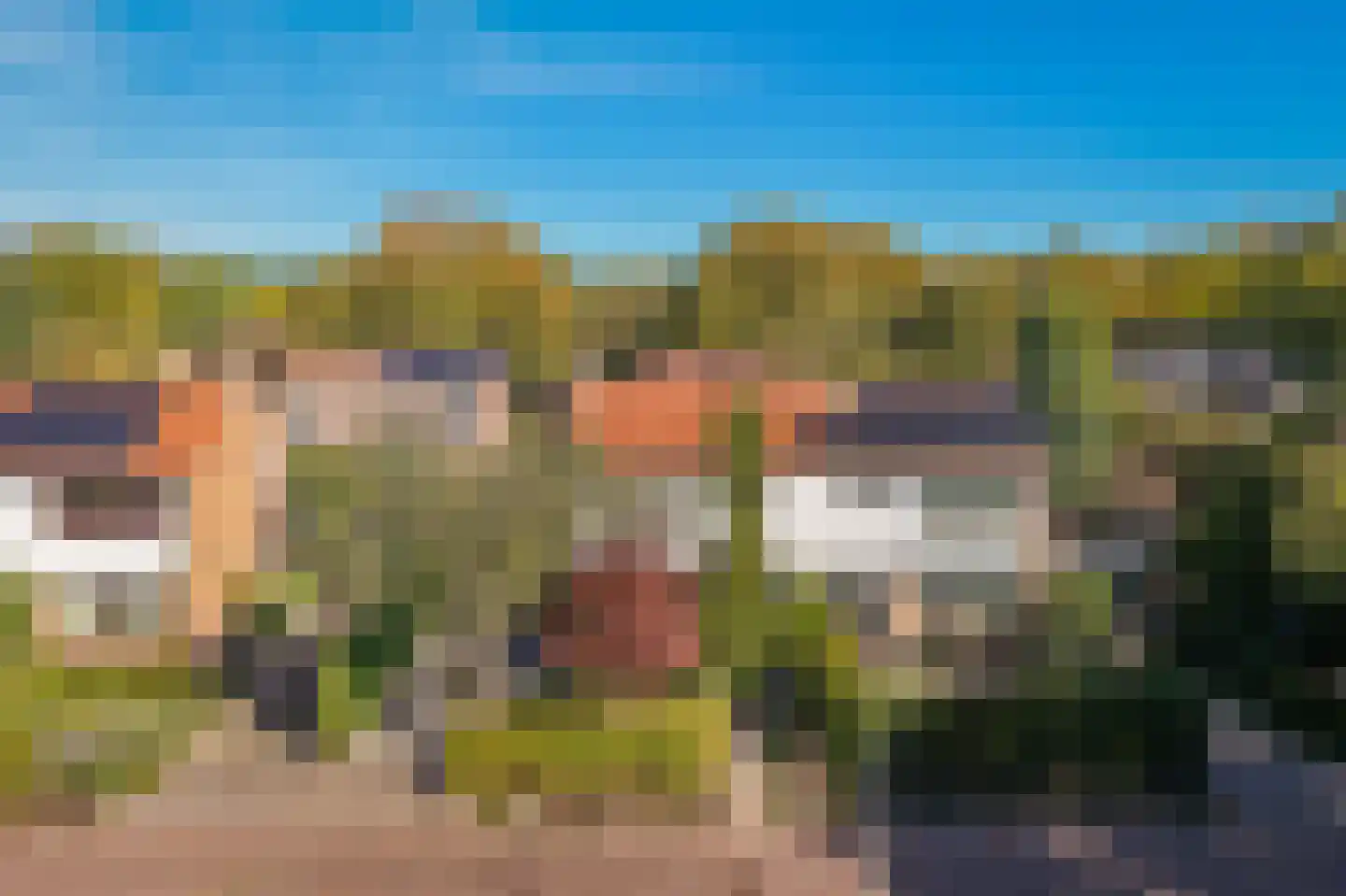 de Postmeester 20 Amerongen foto 3