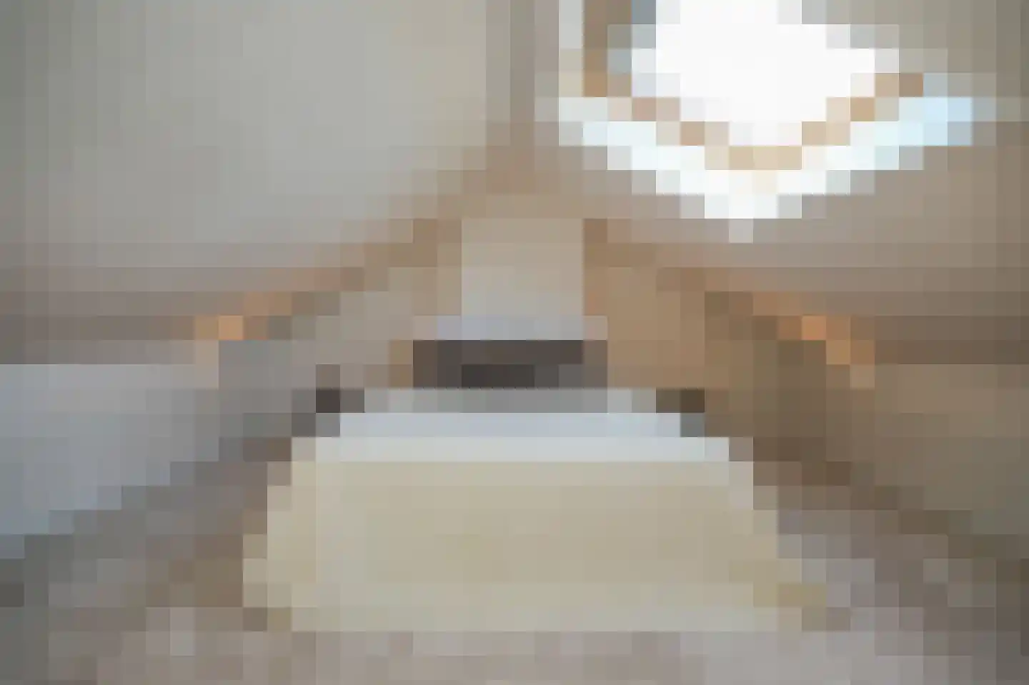 de Postmeester 20 Amerongen thumbnail 33