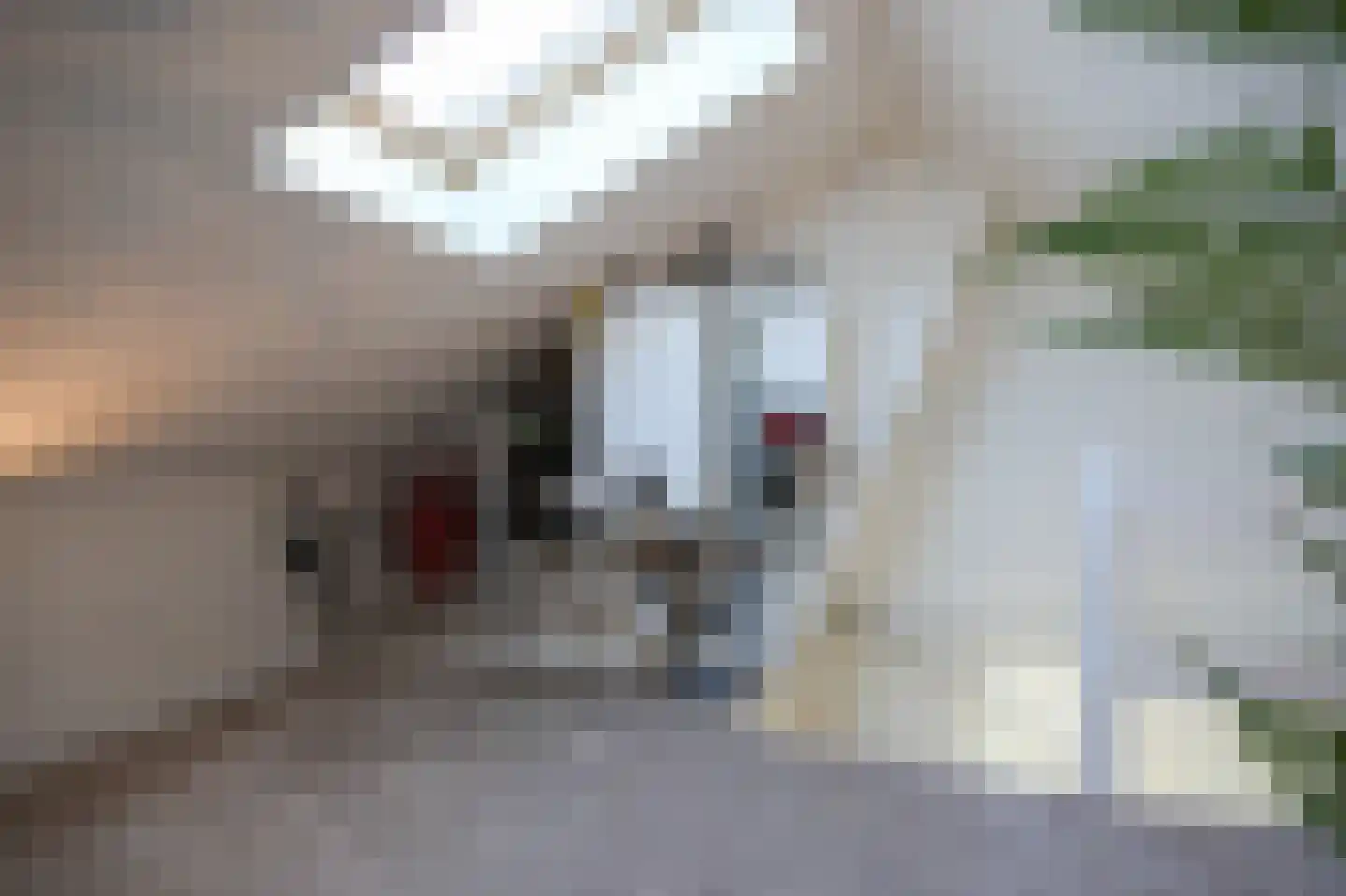 de Postmeester 20 Amerongen thumbnail 35