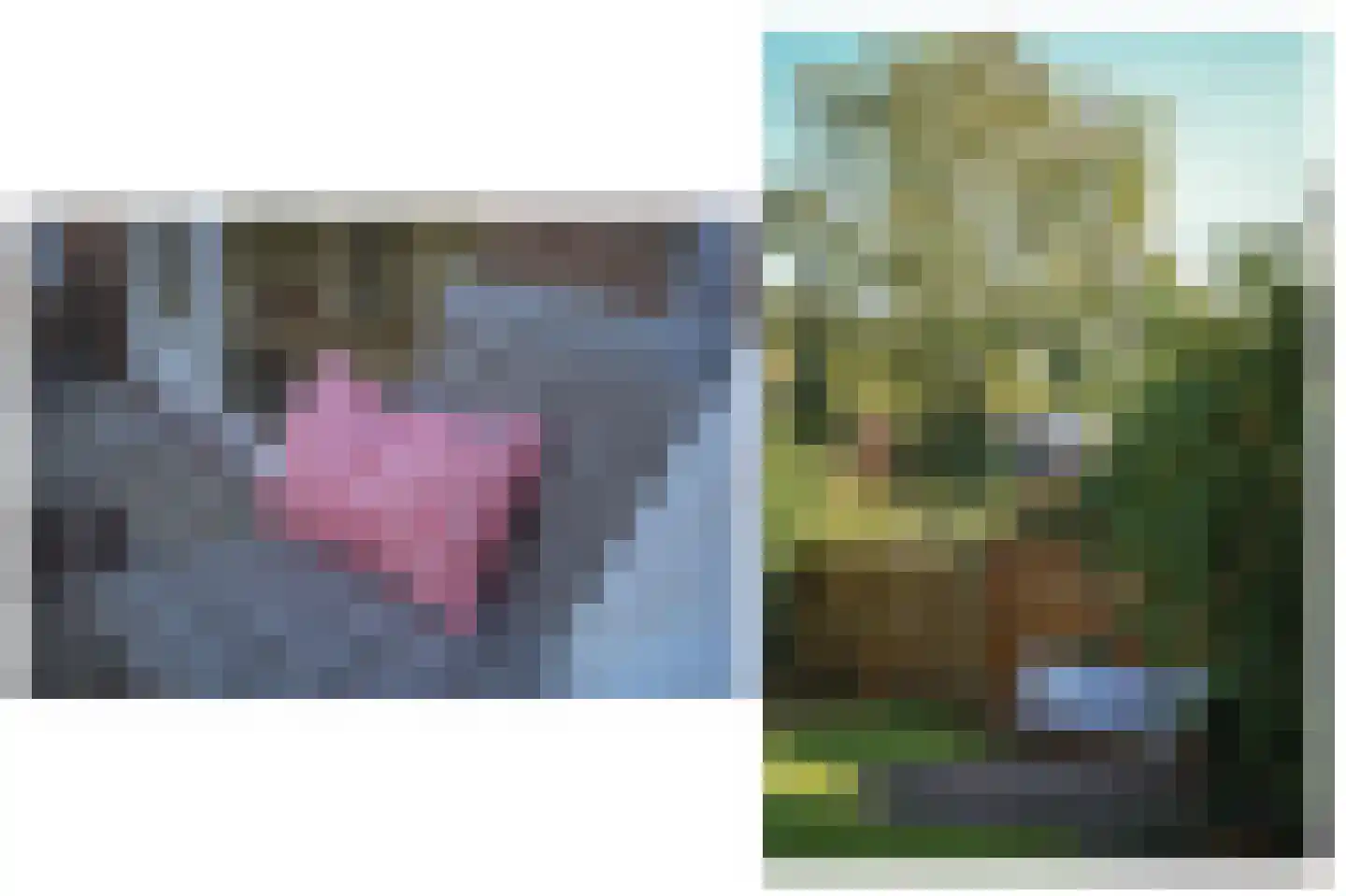 de Postmeester 20 Amerongen thumbnail 41