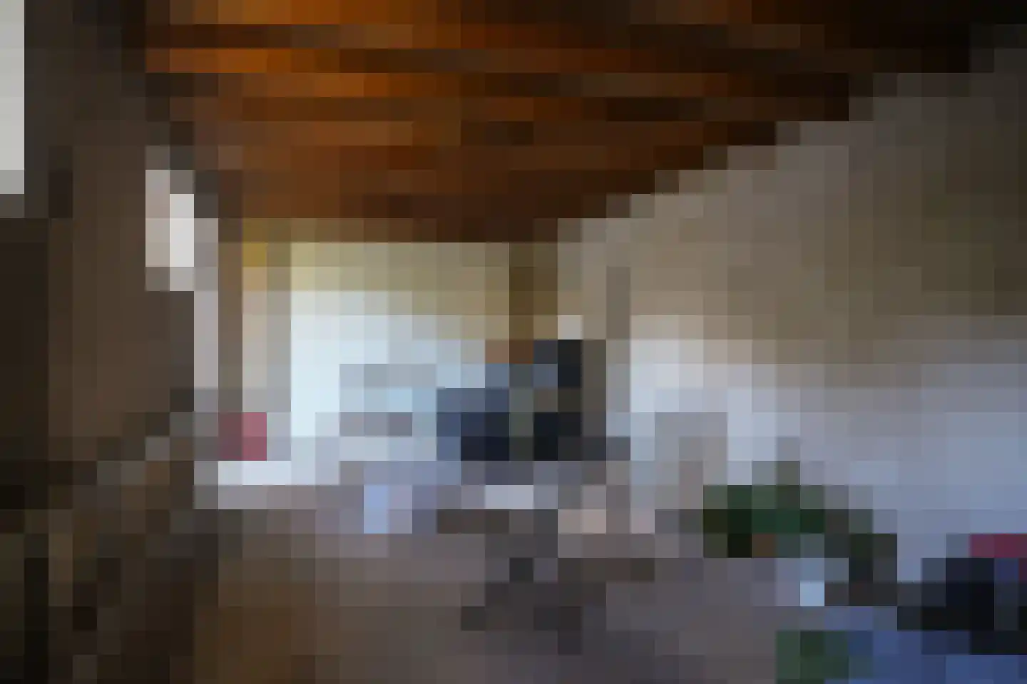 de Postmeester 20 Amerongen thumbnail 45