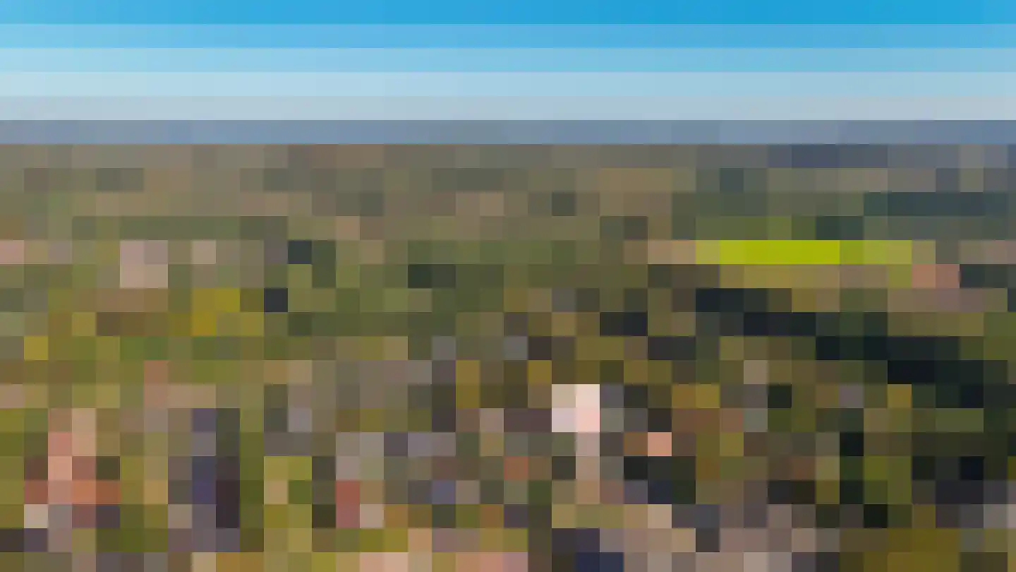de Postmeester 20 Amerongen thumbnail 52