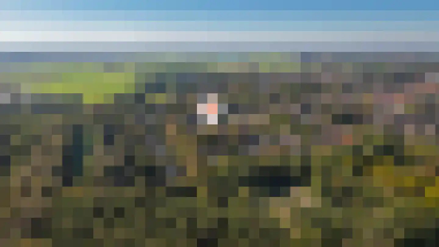 de Postmeester 20 Amerongen thumbnail 54