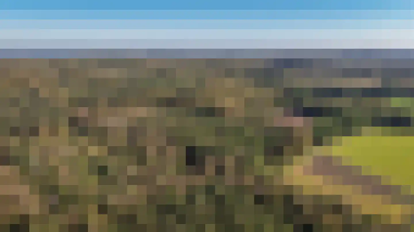 de Postmeester 20 Amerongen thumbnail 55