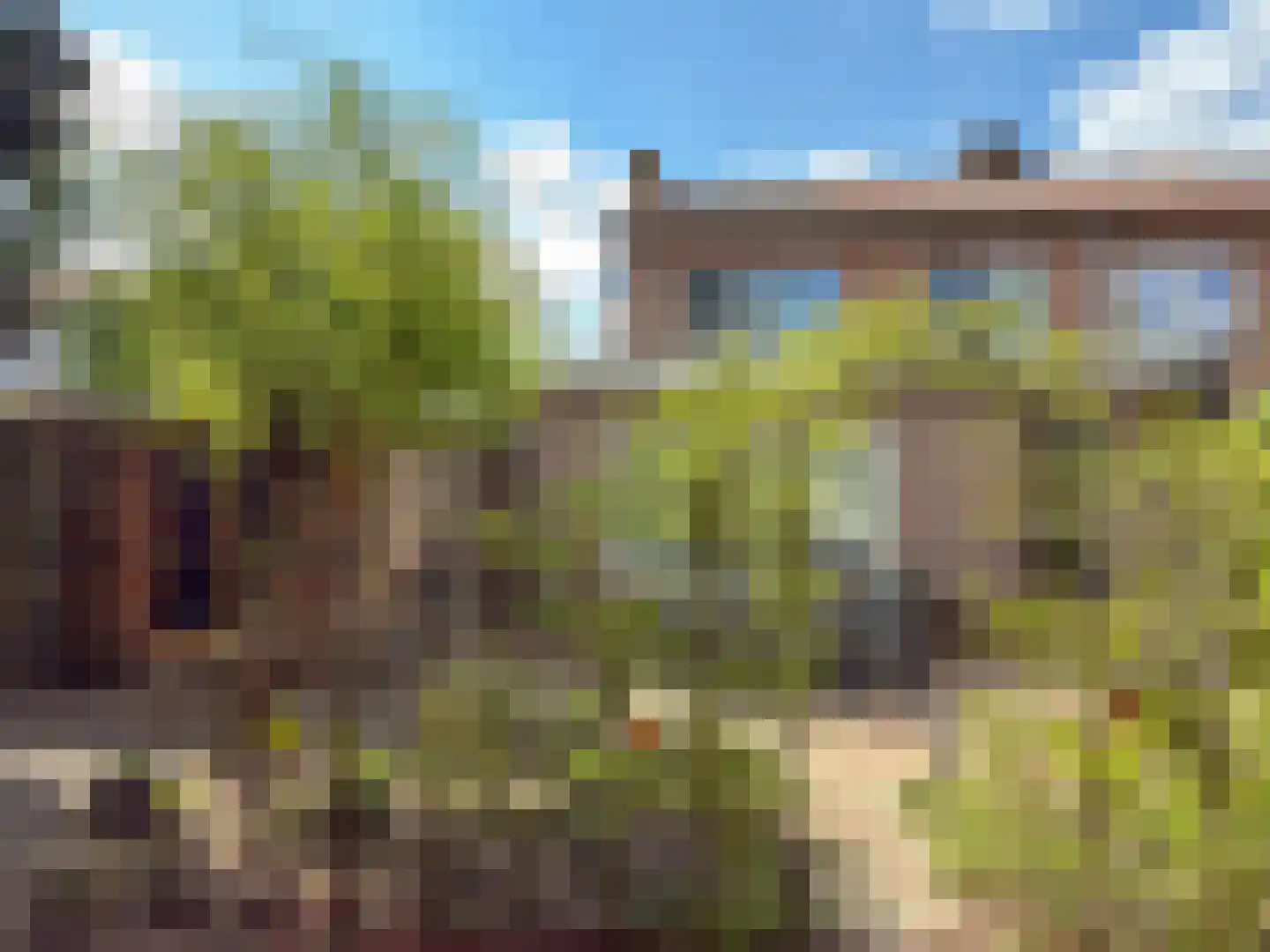 de Postmeester 22 Amerongen thumbnail 21