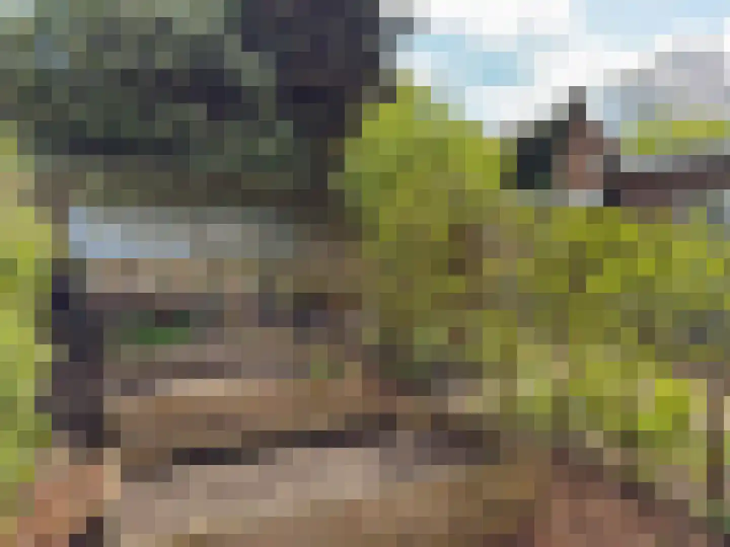 de Postmeester 22 Amerongen thumbnail 22