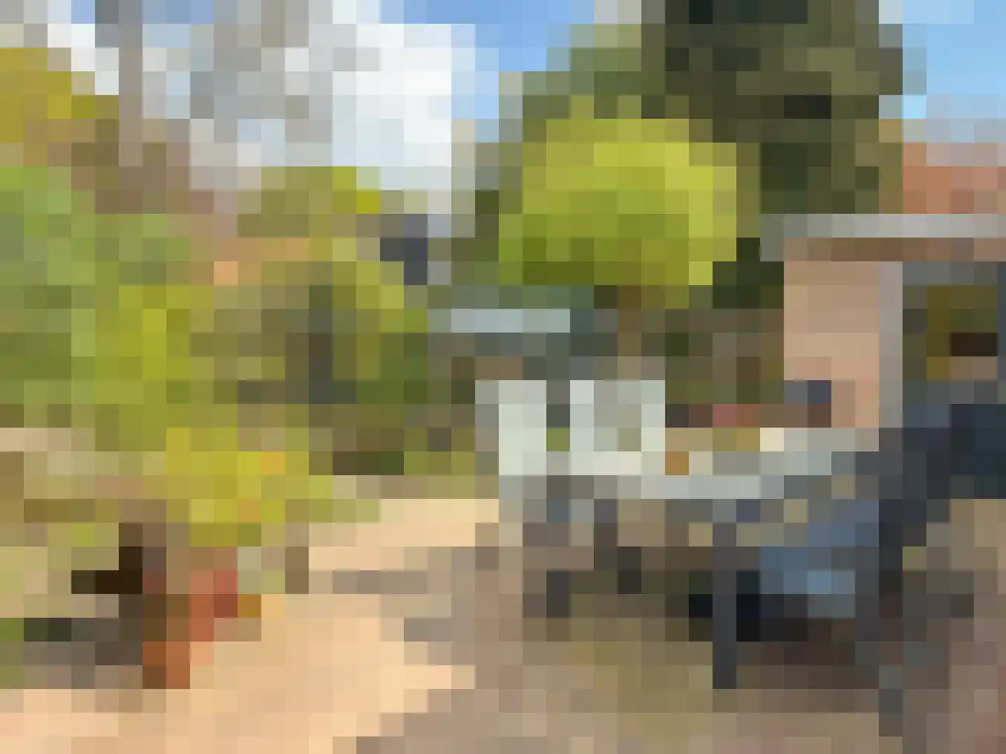 de Postmeester 22 Amerongen thumbnail 25