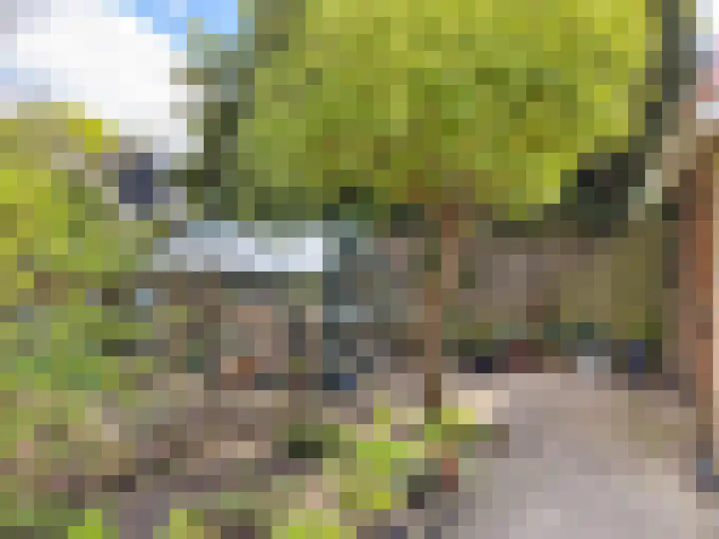 de Postmeester 22 Amerongen thumbnail 26