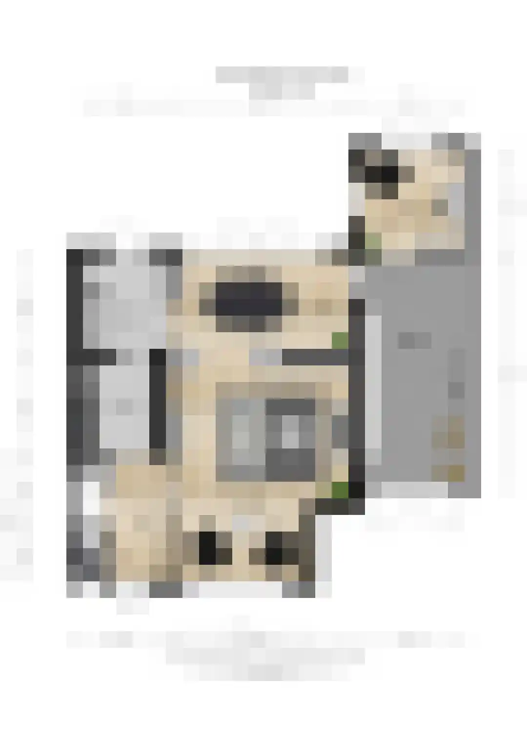 de Postmeester 22 Amerongen thumbnail 27
