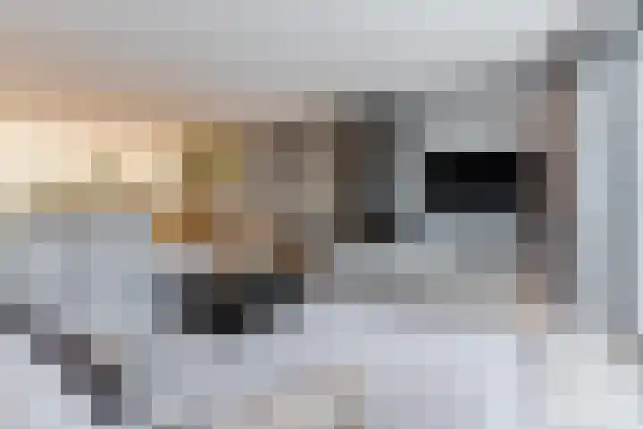 de Poten 11 Eersel thumbnail 12