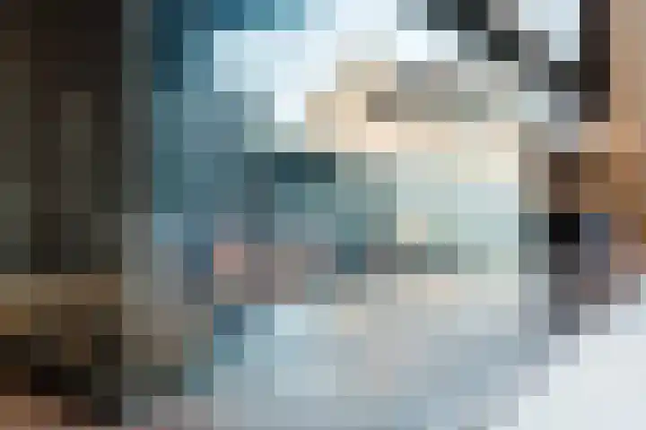 de Poten 11 Eersel thumbnail 13