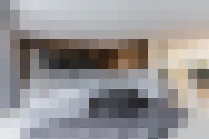 de Poten 11 Eersel thumbnail 14