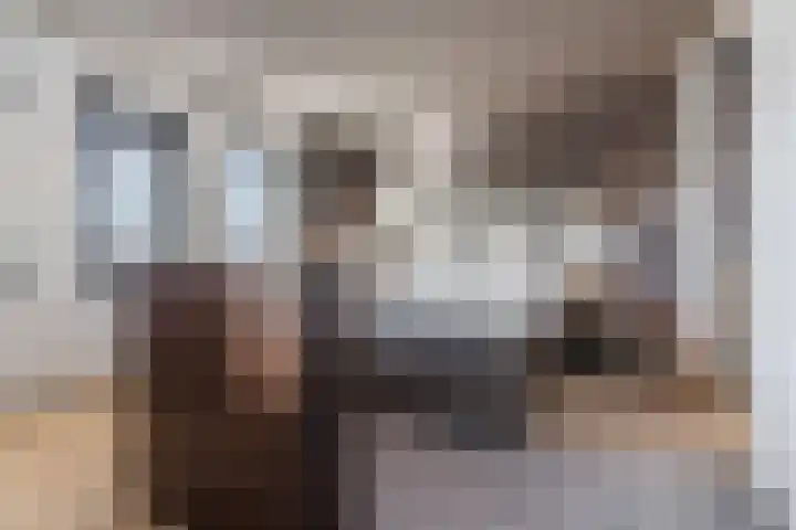de Poten 11 Eersel thumbnail 28