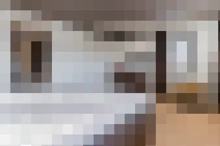 de Poten 11 Eersel thumbnail 32