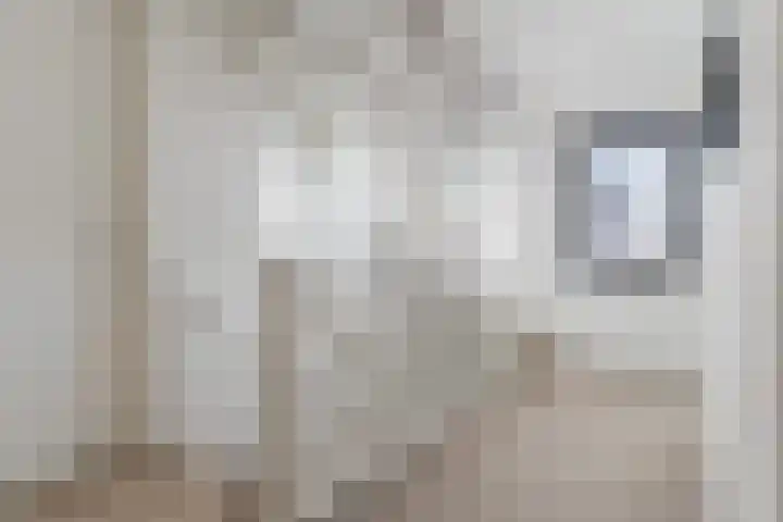 de Poten 11 Eersel thumbnail 42