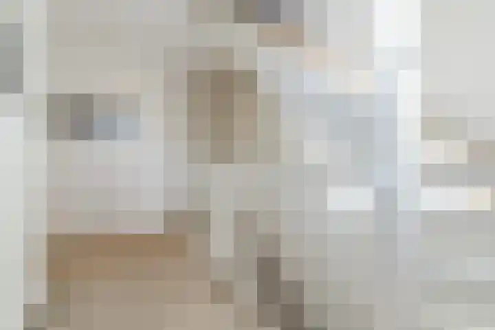 de Poten 11 Eersel thumbnail 43