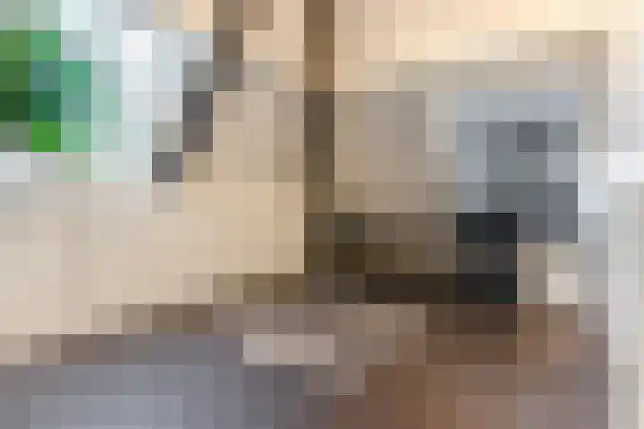 de Poten 11 Eersel thumbnail 50