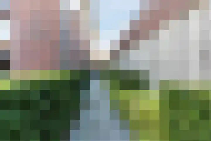 de Poten 11 Eersel thumbnail 67