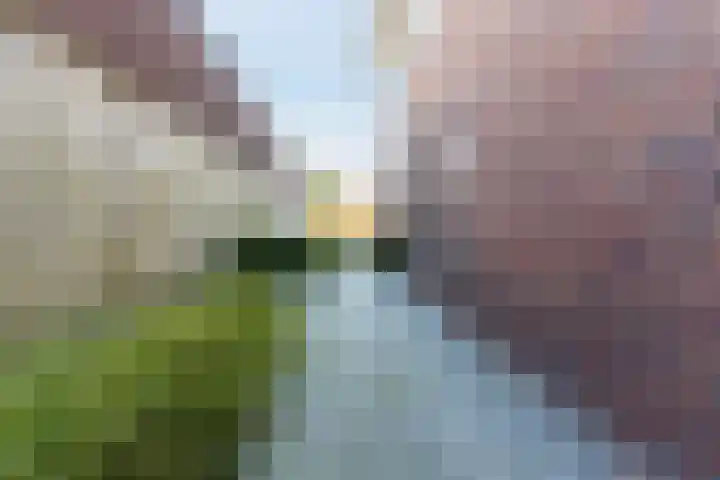 de Poten 11 Eersel thumbnail 68
