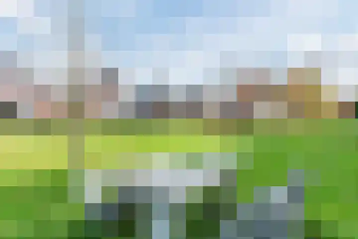 de Poten 11 Eersel thumbnail 72