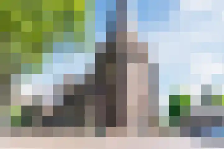 de Poten 11 Eersel thumbnail 73