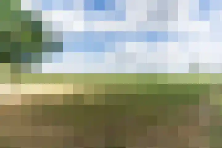 de Poten 11 Eersel thumbnail 75