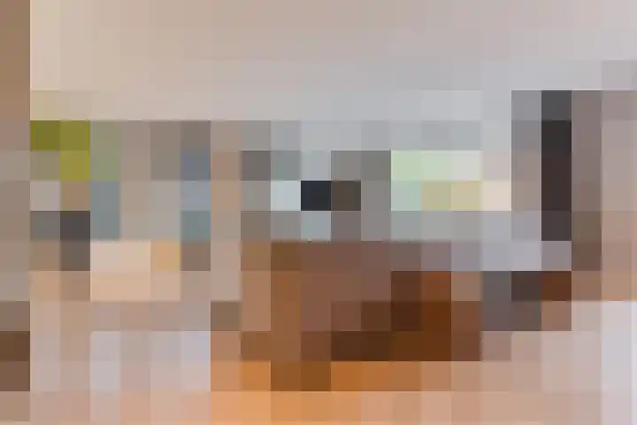 de Poten 11 Eersel thumbnail 8