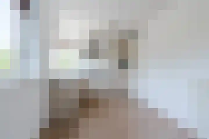 de Poten 33 Eersel thumbnail 12