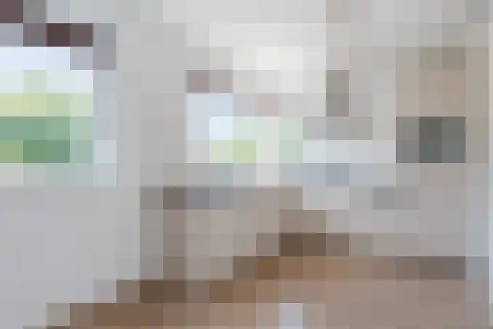 de Poten 33 Eersel thumbnail 13
