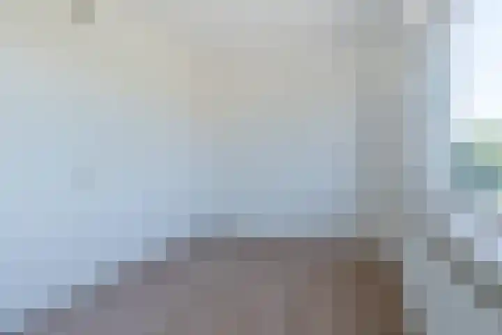 de Poten 33 Eersel thumbnail 21
