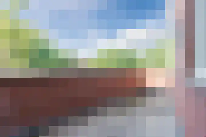 de Poten 33 Eersel thumbnail 24