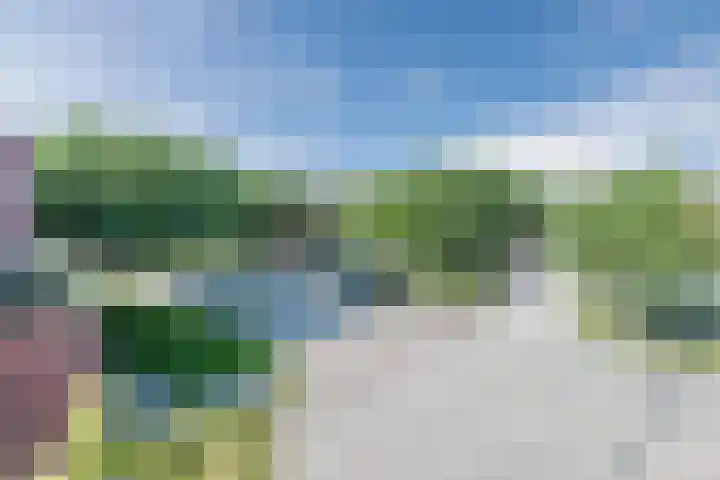 de Poten 33 Eersel thumbnail 28