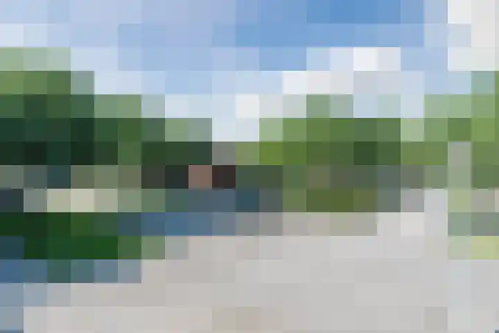 de Poten 33 Eersel thumbnail 4