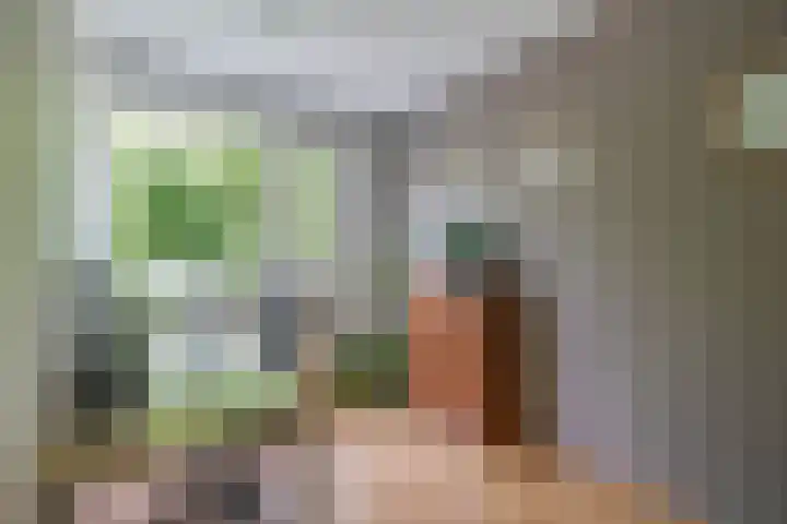 de Poten 63 Eersel thumbnail 20