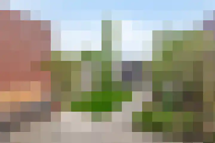 de Poten 63 Eersel thumbnail 29