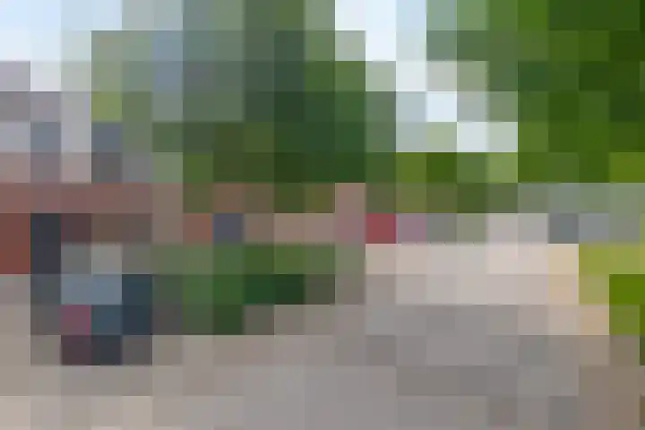 de Poten 63 Eersel thumbnail 34