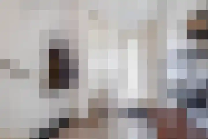 de Poten 63 Eersel thumbnail 7