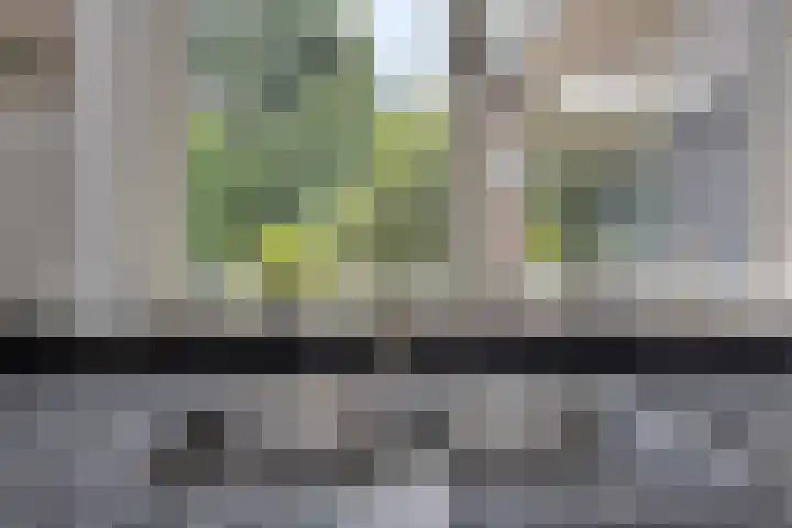 De Poter 1 Veldhoven thumbnail 11