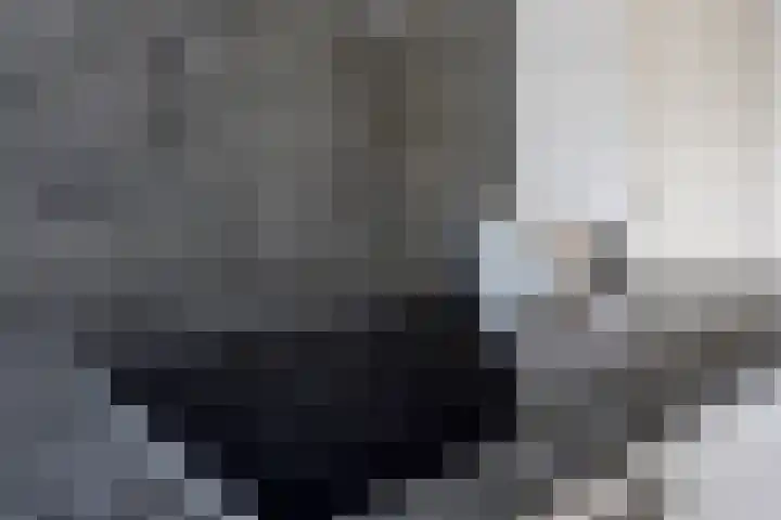 De Poter 1 Veldhoven thumbnail 12