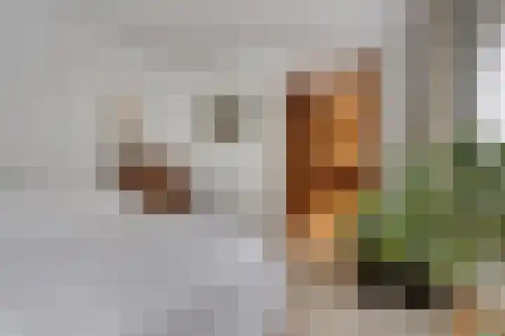 De Poter 1 Veldhoven thumbnail 15