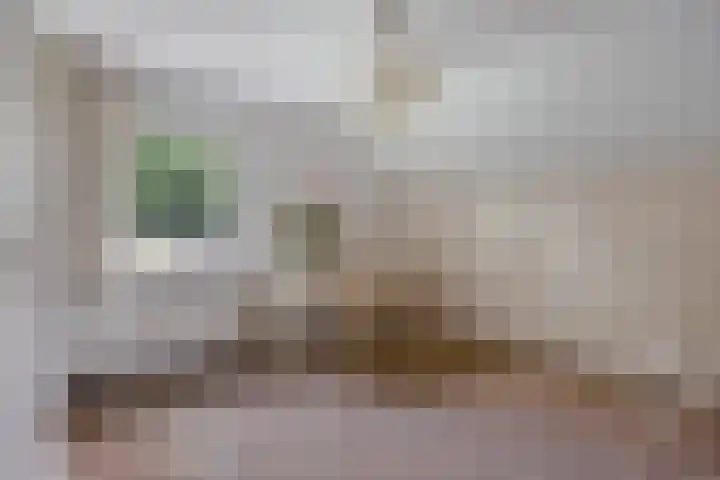 De Poter 1 Veldhoven thumbnail 30