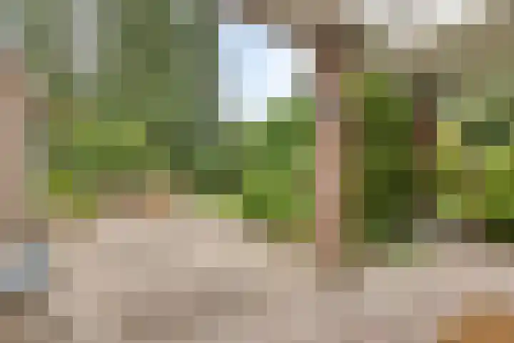 De Poter 1 Veldhoven thumbnail 32