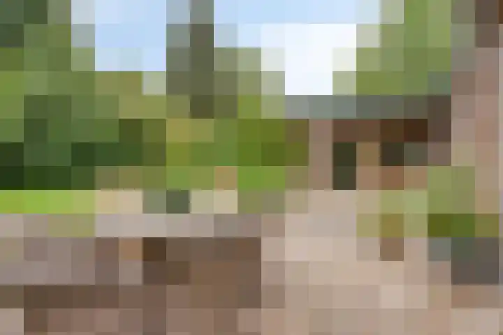 De Poter 1 Veldhoven thumbnail 33