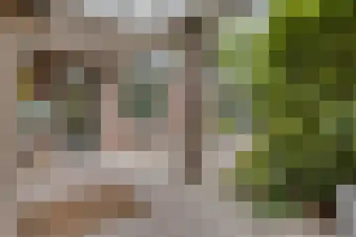 De Poter 1 Veldhoven thumbnail 34