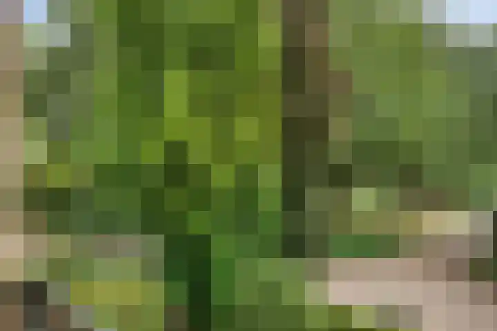 De Poter 1 Veldhoven thumbnail 35